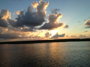 Read more about the article Wetlands growth in Wax Lake shows what diversions could achieve