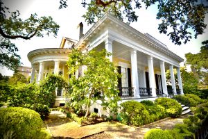 Read more about the article Garden District comes alive