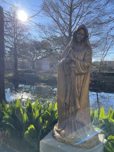 Read more about the article Metairie Cemetery Orb