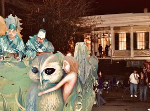 Read more about the article MARDI GRAS OWL